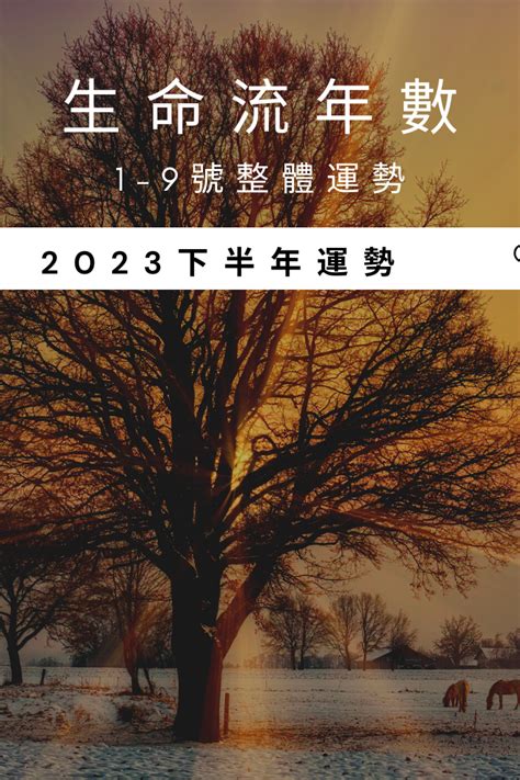 2023生命靈數流年1